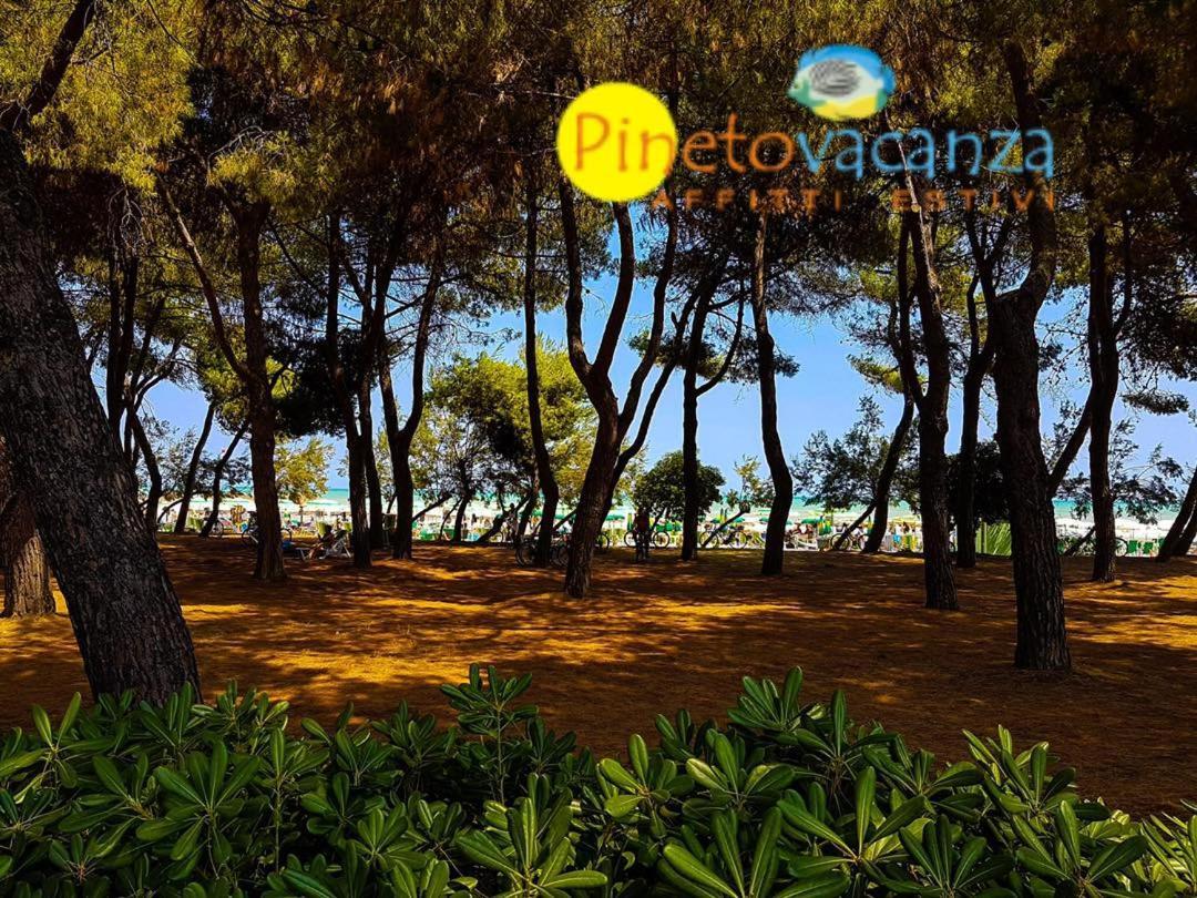 Myconos C2 - Pineto Vacanza Ngoại thất bức ảnh